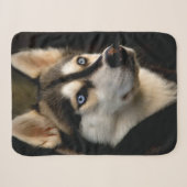 Couverture Sherpa Beau Oreiller Husky Lrow (Devant (Horizontal))