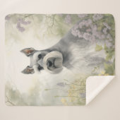 Couverture Sherpa Beau Schnauzer (Devant (Horizontal))