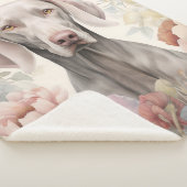 Couverture Sherpa Beau Weimaraner (3/4)
