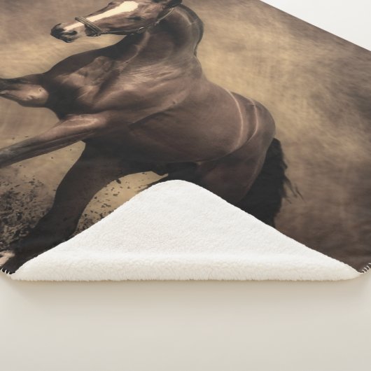 Couverture Sherpa Beautiful horse throw pillow (3/4)