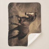 Couverture Sherpa Beautiful horse throw pillow (Devant)