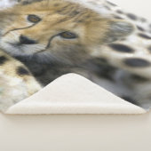 Couverture Sherpa Bébé Guépard (3/4)