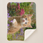 Couverture Sherpa Bébé mignon Chat Kitten Animal de compagnie jouant (Devant)