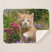 Couverture Sherpa Bébé mignon Chat Kitten Animal de compagnie jouant (Devant (Horizontal))