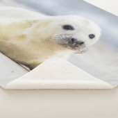 Couverture Sherpa Bébé phoque des images | de Getty (3/4)