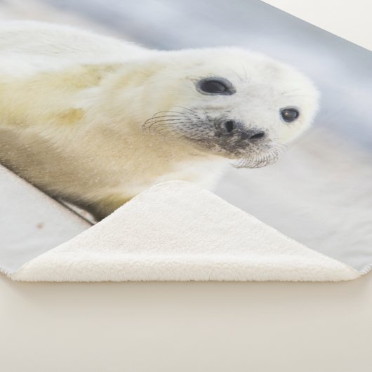 Couverture Sherpa Bébé phoque des images | de Getty (3/4)