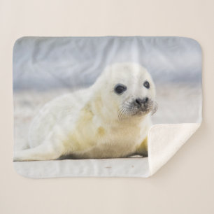 Couverture Sherpa Bébé phoque des images de Getty