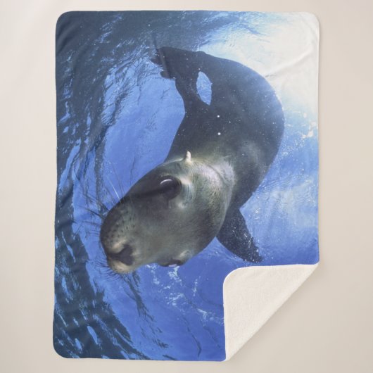 COUVERTURE SHERPA BÉBÉ SEAL (Devant)