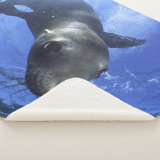 COUVERTURE SHERPA BÉBÉ SEAL (3/4)