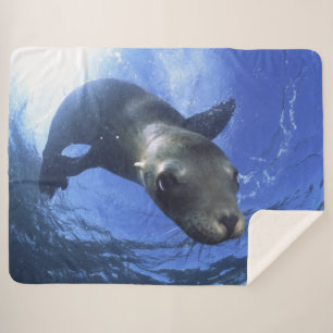 COUVERTURE SHERPA BÉBÉ SEAL