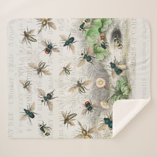 Couverture Sherpa Bee Honey Travailleur Queen Bees Antique (Devant (Horizontal))