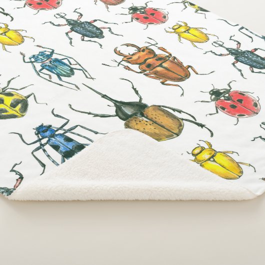 Couverture Sherpa Beetles (3/4)