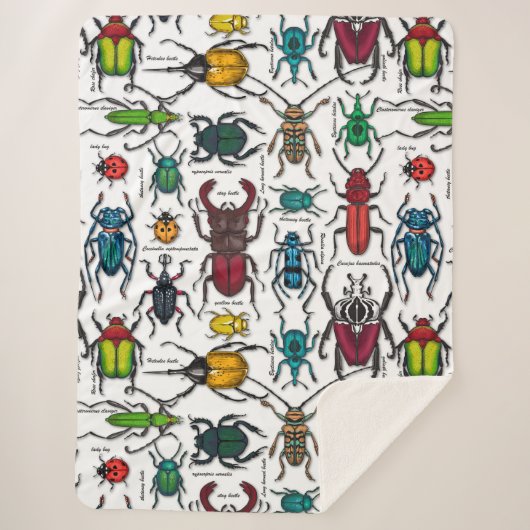 Couverture Sherpa Beetons sur blanc (Devant)