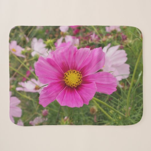 Couverture Sherpa Belle Fleur Cosmos Rose (Devant (Horizontal))
