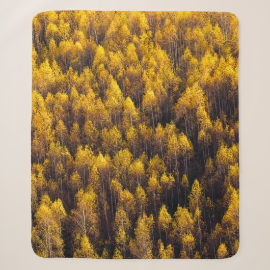 COUVERTURE SHERPA BELLE FORÊT DE PINS (Devant)