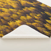 COUVERTURE SHERPA BELLE FORÊT DE PINS (3/4)