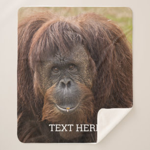 Couverture Sherpa Belle photographie de Borneo Orangutan
