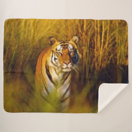 COUVERTURE SHERPA BENGAL TIGER (Devant (Horizontal))