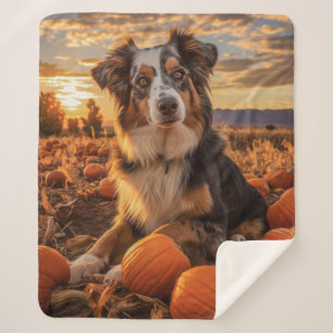 Couverture Sherpa Berger australien d'automne