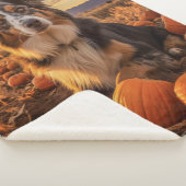 Couverture Sherpa Berger australien d'automne (3/4)