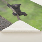 Couverture Sherpa Black Bear Cub jouant sur le membre de l'arbre (3/4)