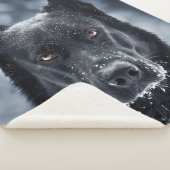 Couverture Sherpa Black German Shepherd (3/4)