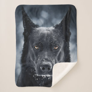 Couverture Sherpa Black German Shepherd