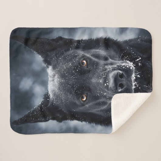 Couverture Sherpa Black German Shepherd (Devant (Horizontal))