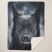 Couverture Sherpa Black German Shepherd (Devant)
