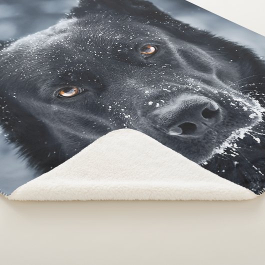Couverture Sherpa Black German Shepherd (3/4)