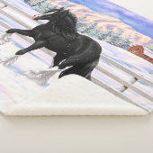 Couverture Sherpa Black Gypsy Vanner Irlandais Cob Brouillon Cheval  (3/4)