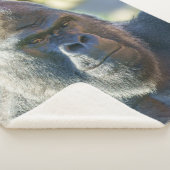Couverture Sherpa Blanche en argent frappant (3/4)
