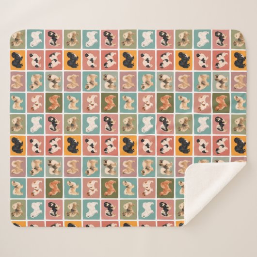 Couverture Sherpa Blanche Sherpa Tibétaine Spaniel multicolore (Devant (Horizontal))