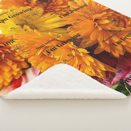 Couverture Sherpa Blanchissement Sharpa, Jeu de molleton molle (3/4)