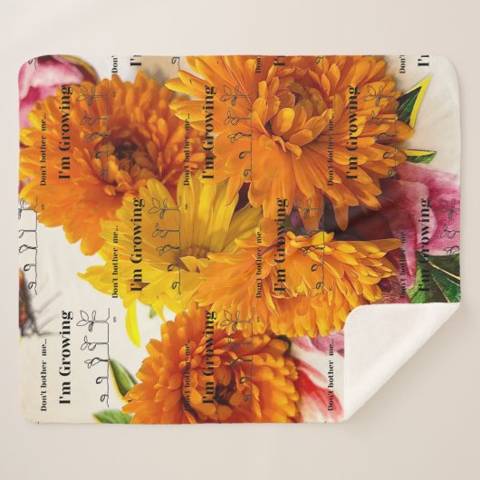 Couverture Sherpa Blanchissement Sharpa, Jeu de molleton molle (Devant (Horizontal))