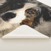 Couverture Sherpa Blue Collie (3/4)