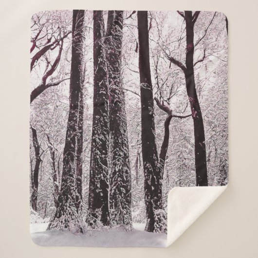 COUVERTURE SHERPA BOIS FORESTIER NEIGE HIVER SCÉNARIO (Devant)