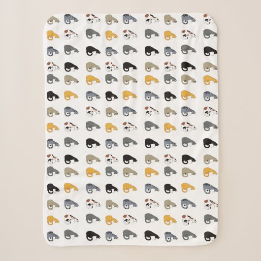 Couverture Sherpa Bol Kitty Cats (Devant)