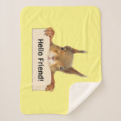 Couverture Sherpa Bonjour ami Funny Squirrel (Devant)