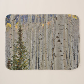 Couverture Sherpa Bosquets d'aspens en automne | Montagnes Rocheuses