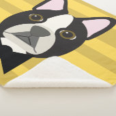 Couverture Sherpa Boston Terrier (3/4)