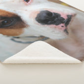Couverture Sherpa Boucle (3/4)
