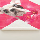 Couverture Sherpa Bouledogue français mignon - chiot de Frenchie (3/4)