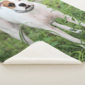 Couverture Sherpa Boxer (3/4)