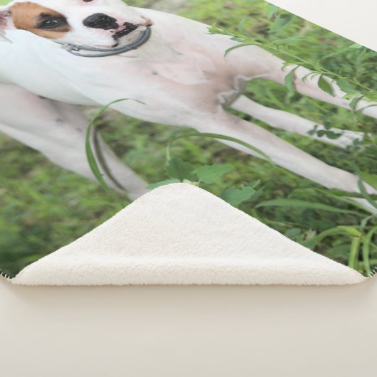 Couverture Sherpa Boxer (3/4)