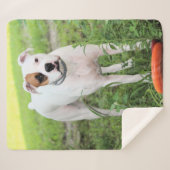 Couverture Sherpa Boxer (Devant (Horizontal))