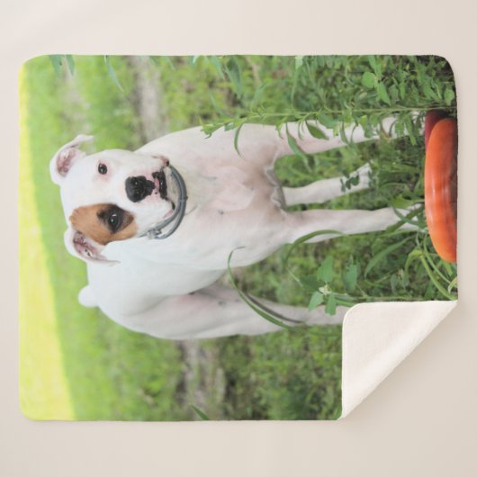 Couverture Sherpa Boxer (Devant (Horizontal))