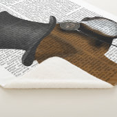 Couverture Sherpa Boxer, Hound officiel et Casquette (3/4)