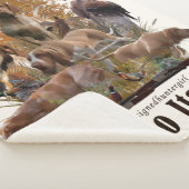 Couverture Sherpa Bracco italiano (3/4)