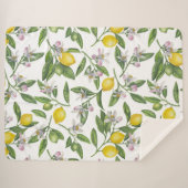 Couverture Sherpa Branches de citron avec fleurs et fruits sur blanc (Devant (Horizontal))